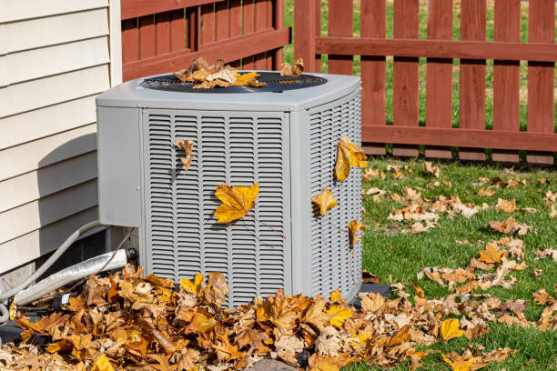 Best Heating Repair Services  in Minot, ND